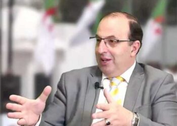 خبير: وضع إستراتيجيات ..والتخلص من التسيير الإداري للإقتصاد (ملف)