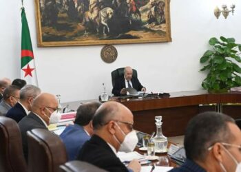 توجيهات الرئيس تبون بشأن السياسة العامة للحكومة