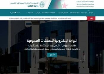 208 خدمة عمومية في بوابة رقمية