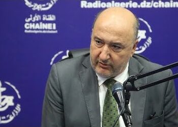 مسؤول: الإحصاء محمي من «الاختراق».. ومعلومات الجزائريين مصونة