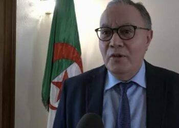 بلاني يرد على خرجات الإعلام المغربي “الرعناء”
