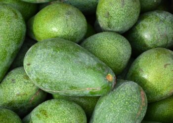 مأكولات تجنبك نوبات القلب القاتلة