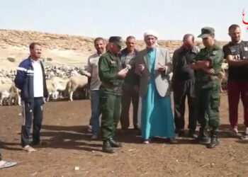 استرجاع 156 رأس غنم مسروقة بالمسيلة