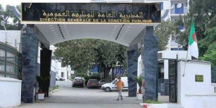 المولد النبوي.. السبت المقبل عطلة مدفوعة الأجر