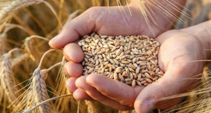 تعزيـز التجارة البينيـة.. رهان الأمن الغذائي العربي