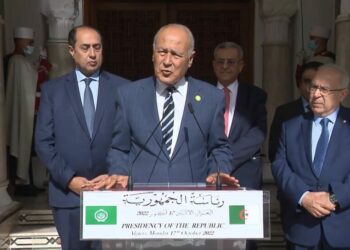 أبو الغيط: قمة الجزائر ستكون فعلا قمة لم الشمل