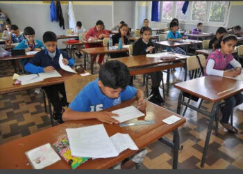 بطاقيات لتلاميذ الابتدائي تحدّد المكتسبات المدرسية