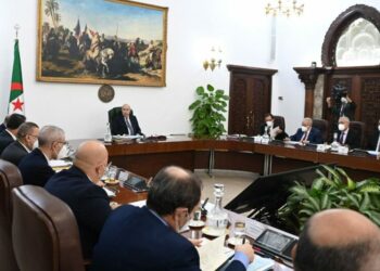 الرئيس تبون يأمر بفتح تحقيق لمحاسبة مسؤلين