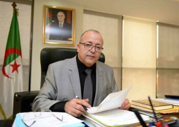 وزير الاتصال يشيد بجهود الصحافة في تغطية أشغال القمة العربية