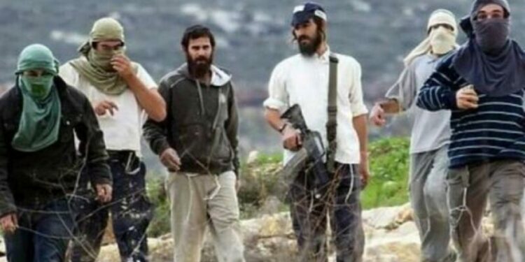 الخارجية الفلسطينية تطالب بضغط دولي لوقف اعتداءات المستوطنين