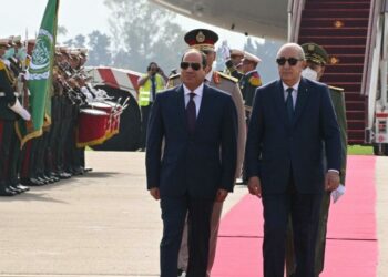 الرئيس المصري يدعو لتبني مقاربة عربية موحدة