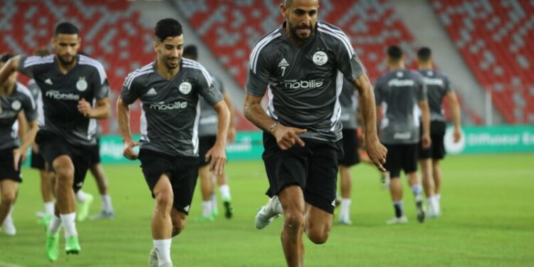 برنامج “الخضر” في مالمو