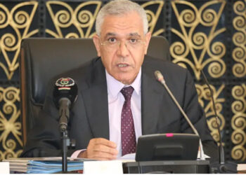 طبي: الدستور وسع بشكل لافت من الحقوق والحريات