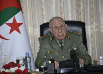 الفريق أول شنقريحة يستقبل قائد قوة الدفاع الشعبية التنزانية