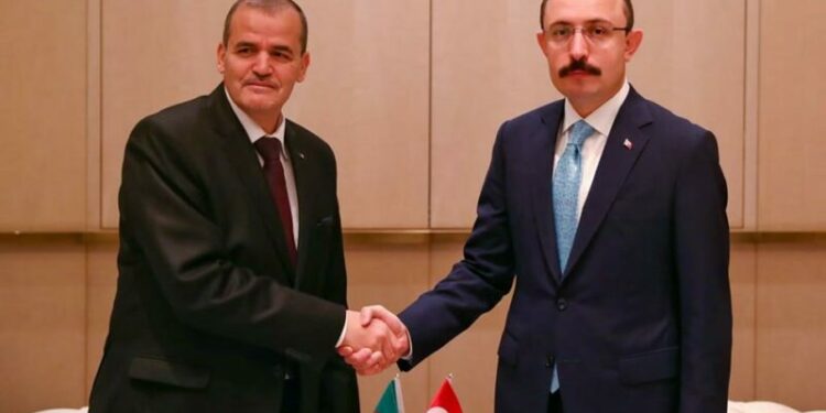بحث سبل تعزيز التجارة الجزائرية-التركية
