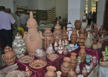 استفادة قرابة 2000 حرفي من تكوين في مختلف التخصصات