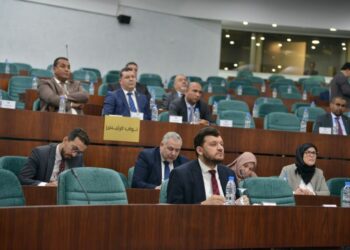 المقاولاتية الذاتية.. بين مواكبة “الاقتصاد الجديد” ومجابهة السوق السوداء