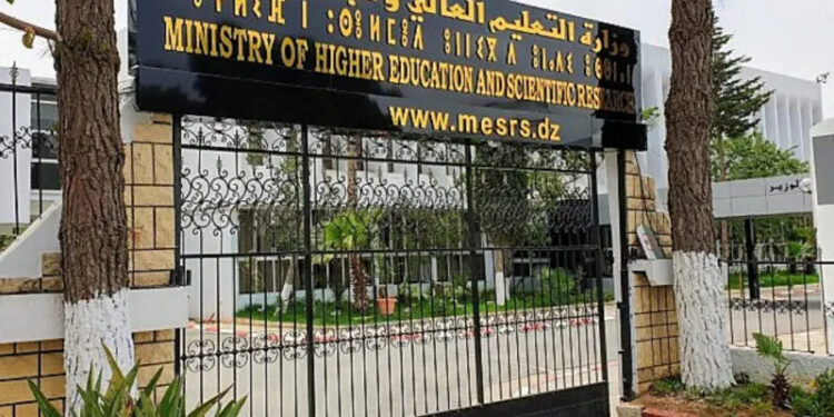 تحفيزات جديدة لخريجي الجامعات