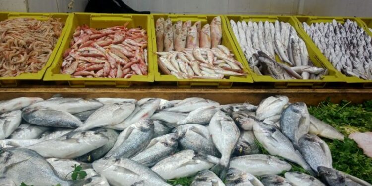 نحو إنشاء ٱلية لضبط أسعار السمك