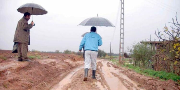 2.5 مليار دولار للمشاريع التنموية في مناطق الظل