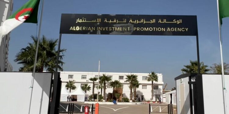 146 شهادة تسجيل لمشاريع استثمارية سلمت في نوفمبر