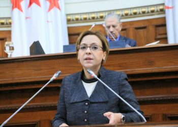 كريكو: الدولة حريصة على مرافقة ذوي الاحتياجات الخاصة إجتماعيا