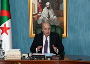 الرئيس تبون: الأجور غير كافية