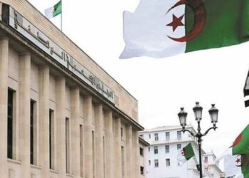 شركاء اجتماعيون.. بعيدا عن تلاعبات السياسة والمال الفاسد