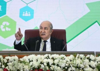 الرئيس تبون يأمر بالتكفل بحالة الطفلة ميليسا