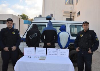 الإطاحة بشبكة إجرامية في المدية