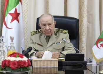الفريق أول شنقريحة يُهنّئ أشبال بوقرة