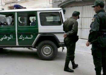 حجز كوكايين وكيف معالج بعين تموشنت