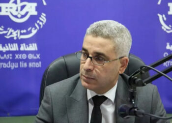 هواين: الجزائر ستصبح رائدة في صناعة الأسمدة