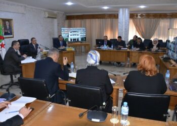 مراد في اجتماع تنسيقي مع ولاة الجنوب