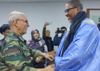 حفيد مانديلا: “لا يمكن إسكات كفاح الشعب الصحراوي”