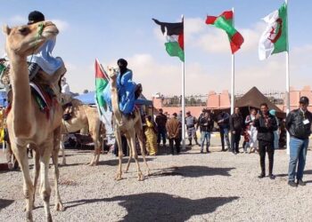 موسم المقار الدولي.. محطة تجارية تتجدد ومشاركة غير مسبوقة