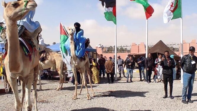 موسم المقار الدولي.. محطة تجارية تتجدد ومشاركة غير مسبوقة
