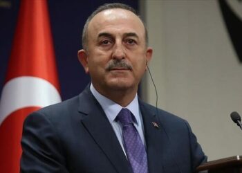 أوغلو: فرق من 74 دولة تساند تركيا في البحث والإنقاذ