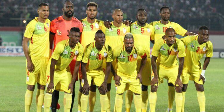 تغيير لقب منتخب البينين من “السناجب” إلى “الفهود”
