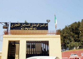 سليماني: تسجيل 15 ألف شاب في 120 نشاطا تجاريا متنقلا