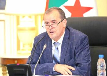 رزيق: بقليل من التسويق يصل الحذاء الجزائري إلى الأسواق الدولية