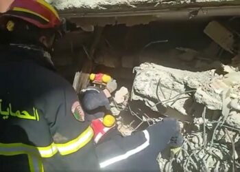 تدخلات عناصر الحماية المدنية الجزائرية بتركيا