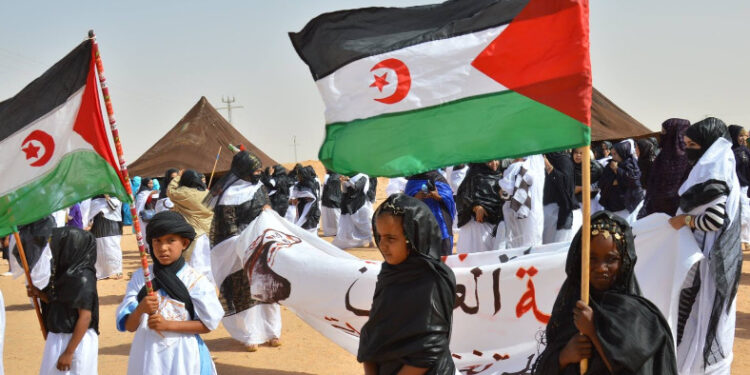 الرئيس الناميبي يؤكد دعم بلاده حق تقرير المصير للشعب الصحراوي