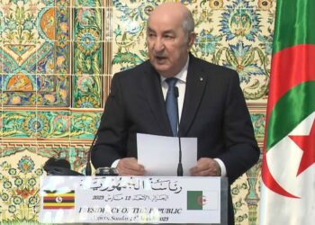 الرئيس تبون يؤكد انعقاد إجتماع مصغر لدول حركة عدم الإنحياز في الجزائر