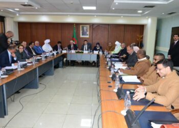 وزير العمل: مشروع قانون ممارسة الحق النقابي يعزز أدوار المنظمات