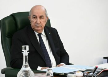 الرئيس تبون: الجزائر تسابق الزمن لتحقيق تطلعات الشعب