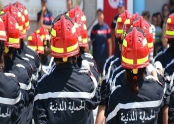 الحماية المدنية: تكنولوجيا المعلومات ضرورية في تسيير الأزمات والكوارث