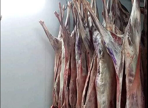 هذه نقاط بيع اللحوم بأسعار معقولة في المدية