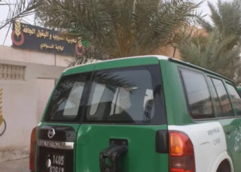إطارات وأطباء بياطرة يضاربون بمواد مدعمة بالوادي