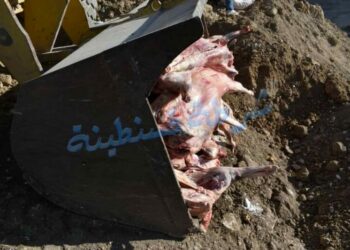 حجز لحوم فاسدة بقسنطينة